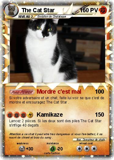 Pokemon The Cat Star
