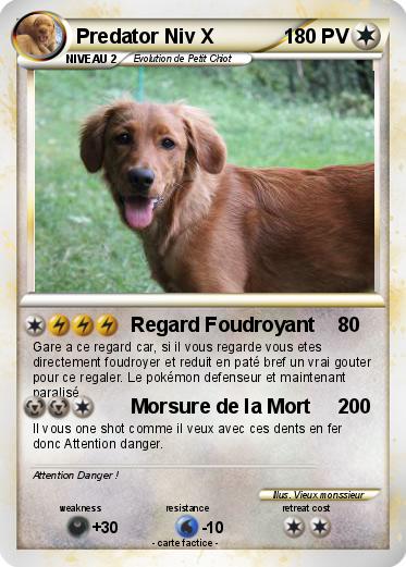 Pokemon Predator Niv X