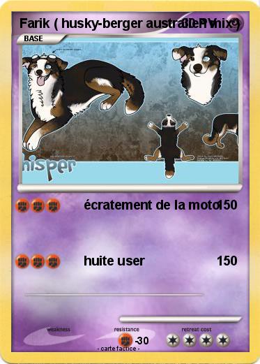 Pokemon Farik ( husky-berger australien mix )
