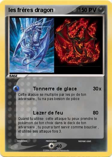 Pokemon les frères dragon
