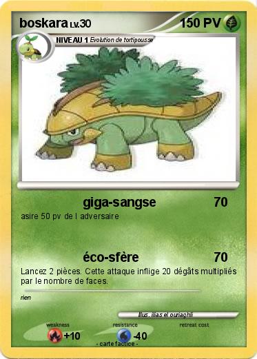 Pokemon boskara