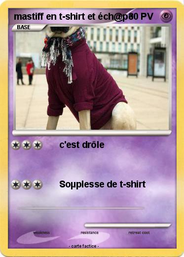 Pokemon mastiff en t-shirt et éch@pe