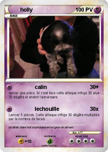 Pokemon holly