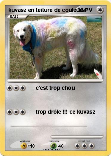 Pokemon kuvasz en teiture de couleurs