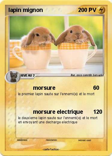 Pokemon lapin mignon