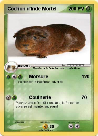 Pokemon Cochon d'Inde Mortel