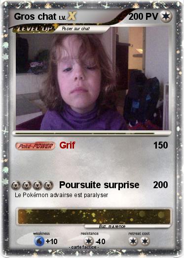 Pokemon Gros chat