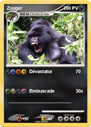 Pokemon Zougor