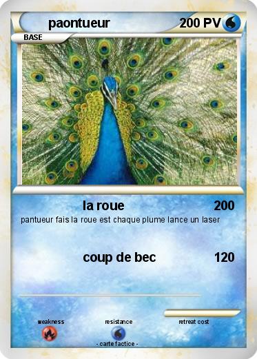 Pokemon paontueur