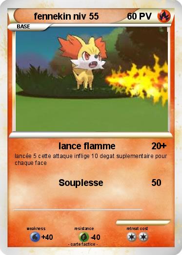 Pokemon fennekin niv 55