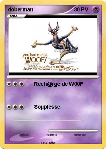 Pokemon doberman