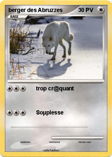 Pokemon berger des Abruzzes