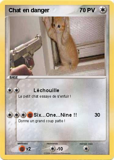 Pokemon Chat en danger