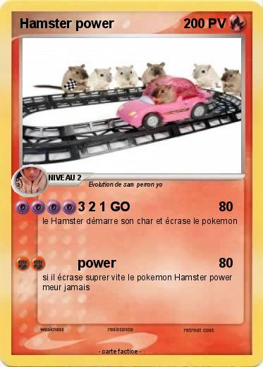 Pokemon Hamster power