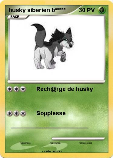 Pokemon husky siberien b*****