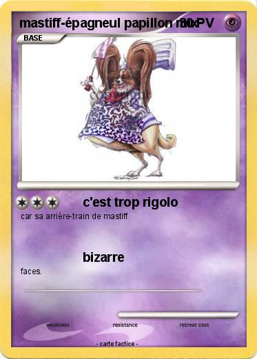 Pokemon mastiff-épagneul papillon mix