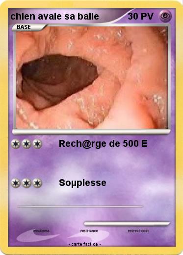 Pokemon chien avale sa balle