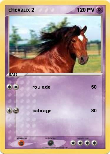 Pokemon chevaux 2