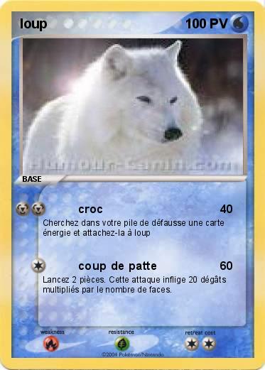 Pokemon loup