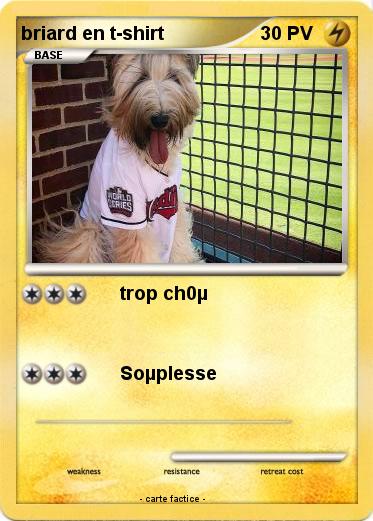 Pokemon briard en t-shirt