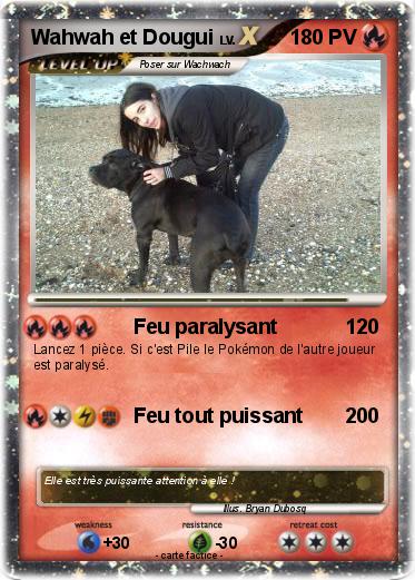 Pokemon Wahwah et Dougui