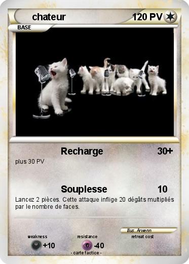 Pokemon chateur