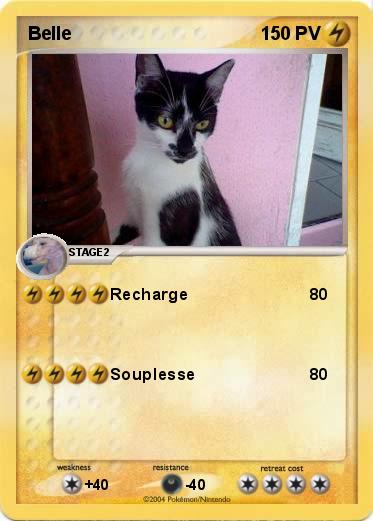 Pokemon Belle