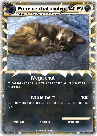 Pokemon Frére de chat content