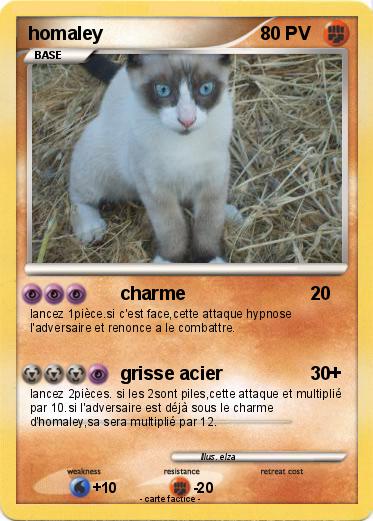 Pokemon homaley