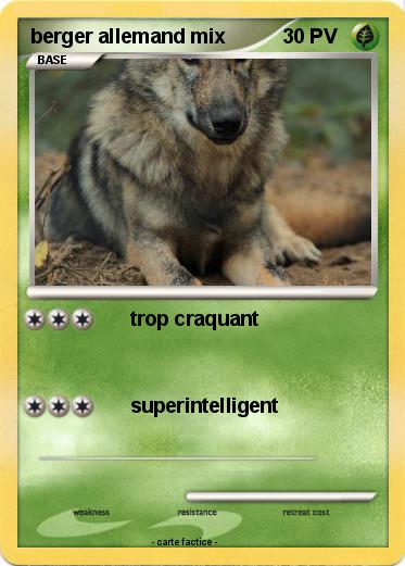 Pokemon berger allemand mix