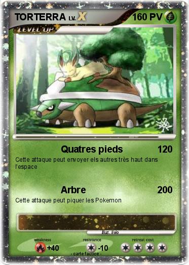 Pokemon TORTERRA