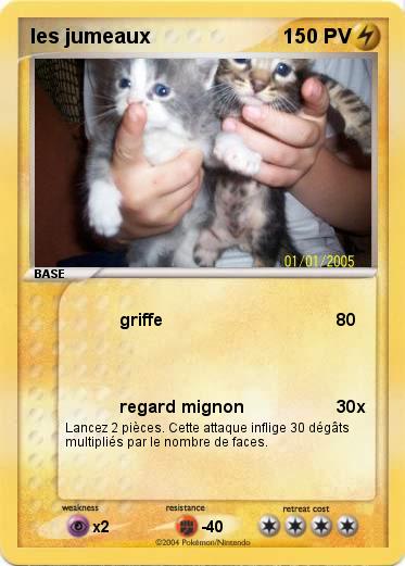 Pokemon les jumeaux