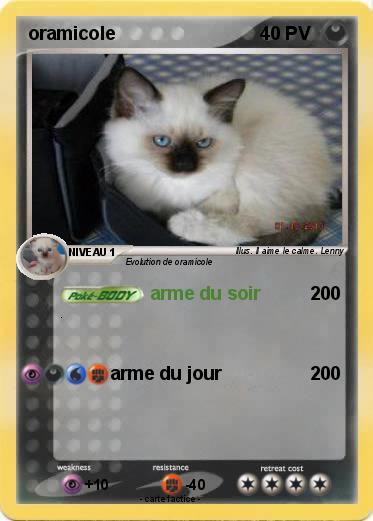 Pokemon oramicole