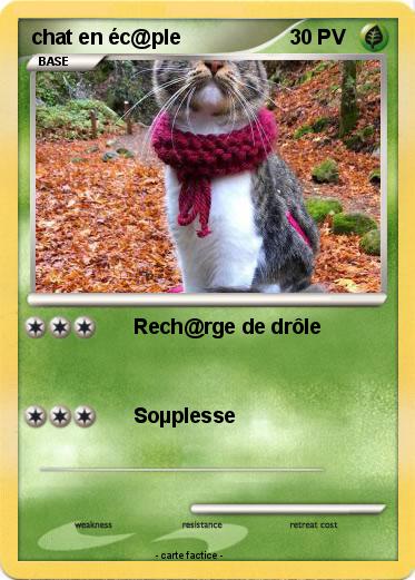 Pokemon chat en éc@ple