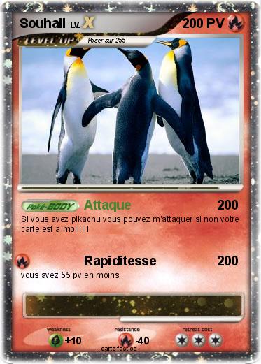 Pokemon Souhail
