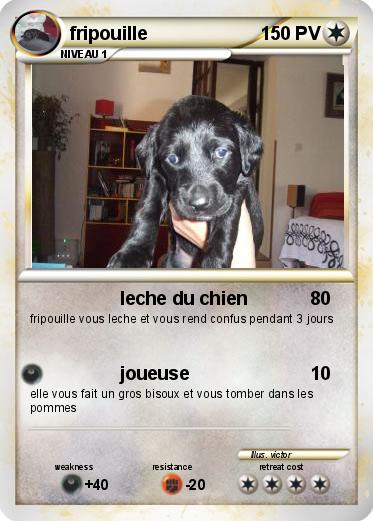 Pokemon fripouille