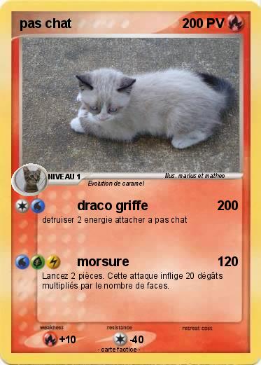 Pokemon pas chat