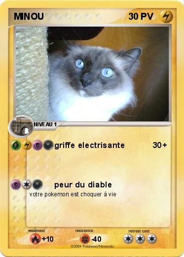 Pokemon MINOU
