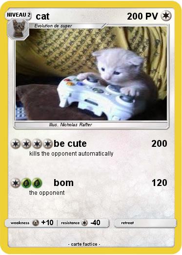 Pokemon cat