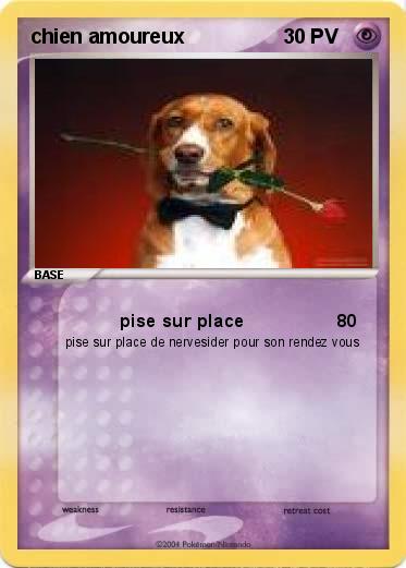 Pokemon chien amoureux