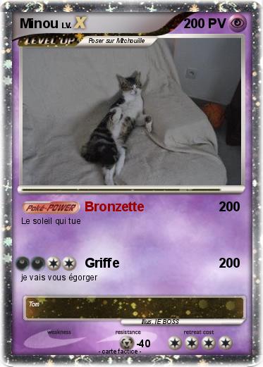 Pokemon Minou