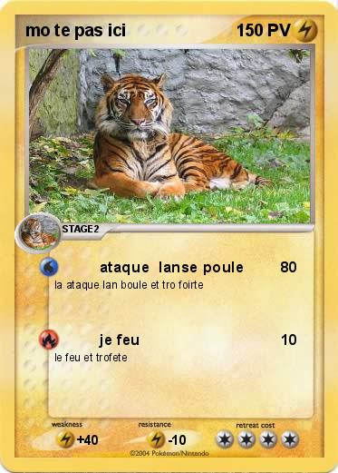 Pokemon mo te pas ici