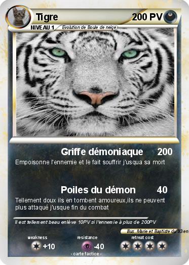 Pokemon Tigre