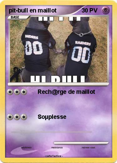 Pokemon pit-bull en maillot