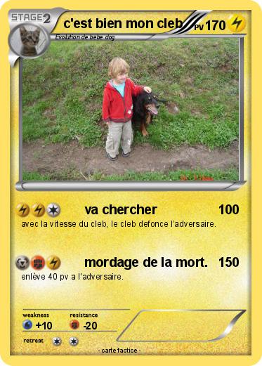 Pokemon c'est bien mon cleb