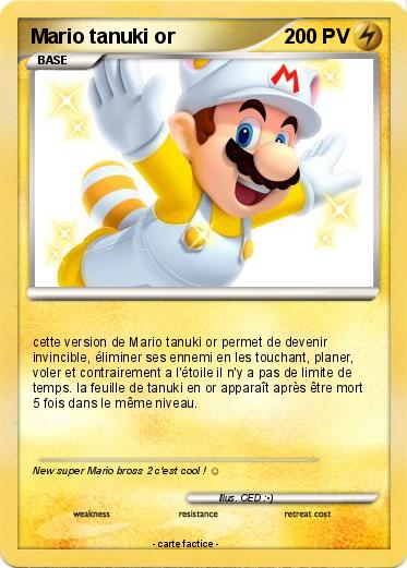 Pokemon Mario tanuki or