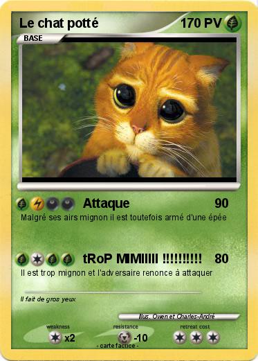 Pokemon Le chat potté
