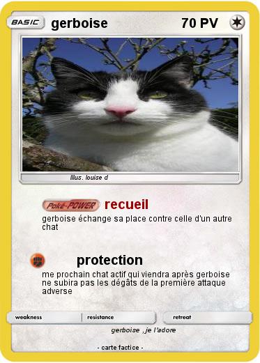 Pokemon gerboise
