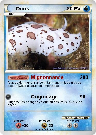 Pokemon Doris