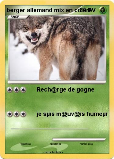 Pokemon berger allemand mix en colère